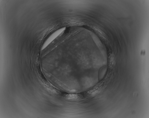 X0000088850361200706291500