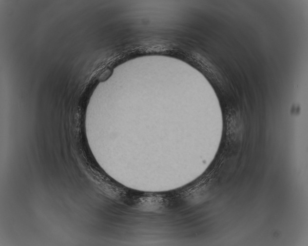 X0000088850362200706291500