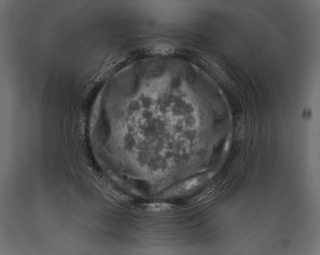 X0000088850363200706291500