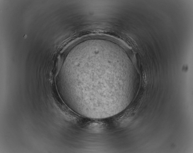 X0000088850364200706291500