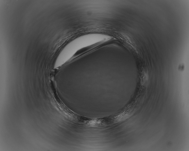 X0000088850366200706291500