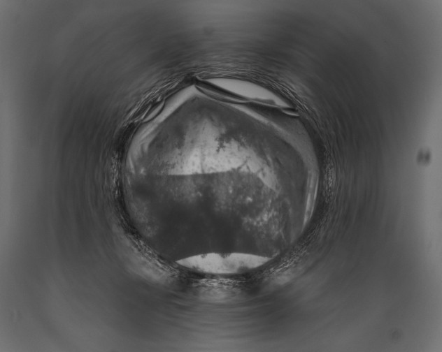 X0000088850367200706291500