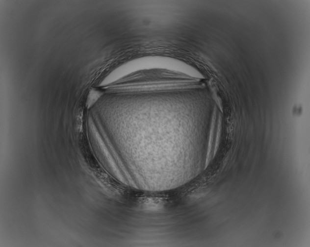 X0000088850368200706291500