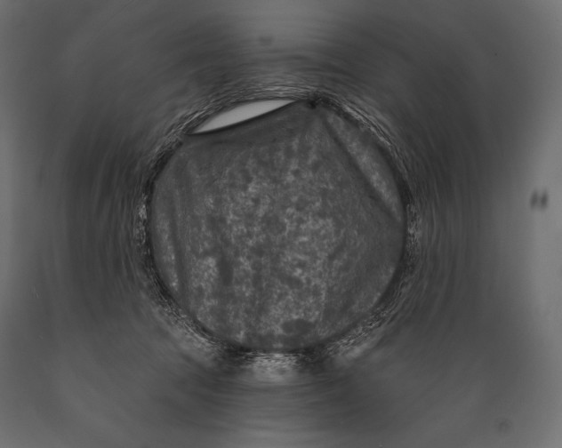 X0000088850369200706291500