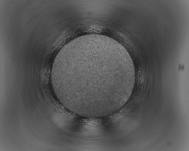 X0000088850370200706291500