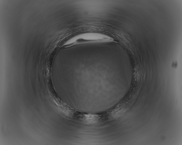 X0000088850371200706291501