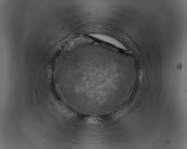 X0000088850372200706291501