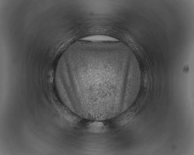 X0000088850374200706291501