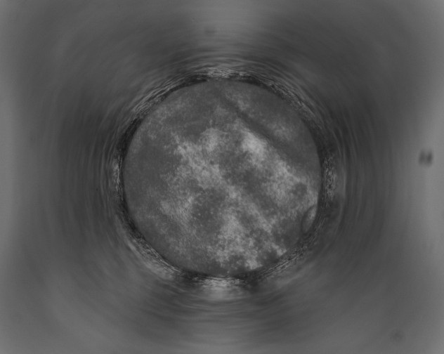 X0000088850375200706291501