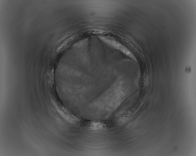 X0000088850376200706291501