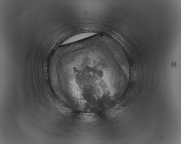 X0000088850377200706291501