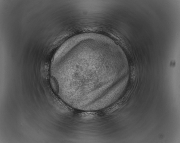 X0000088850378200706291501