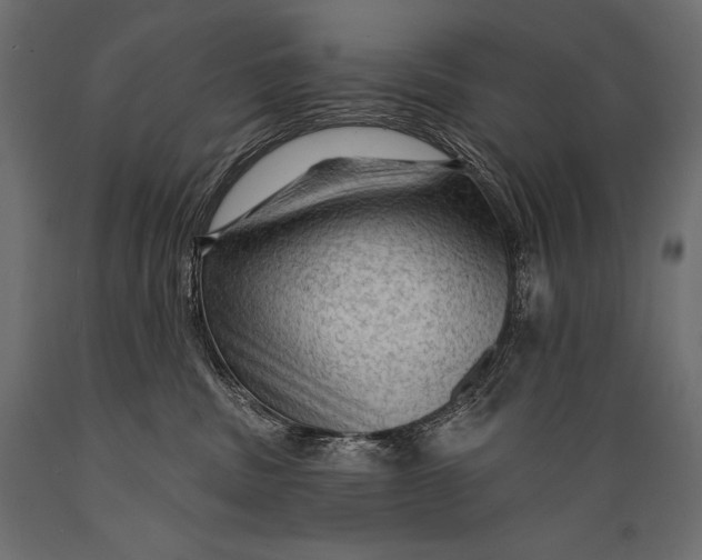 X0000088850379200706291501