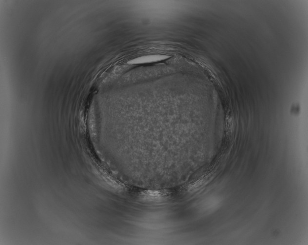 X0000088850381200706291501