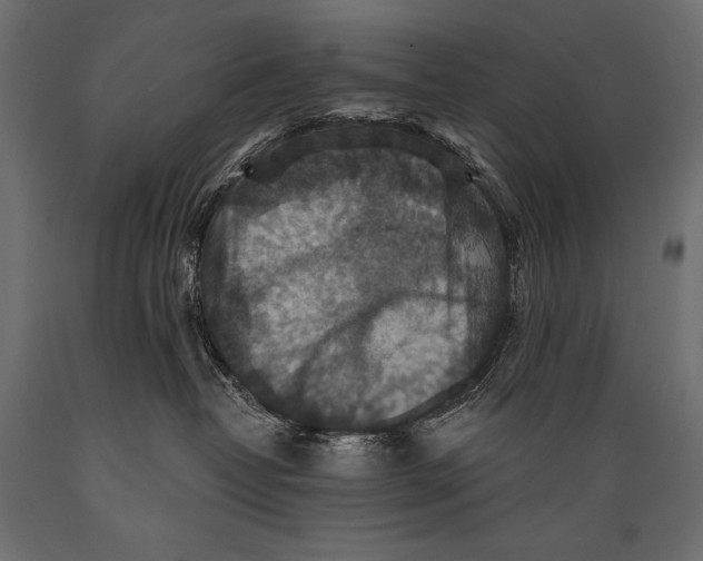 X0000088850382200706291501