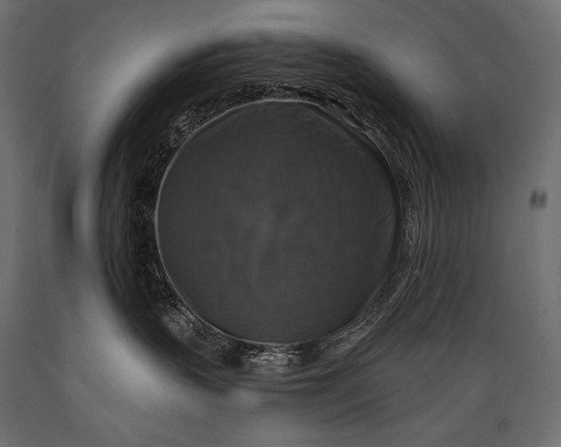 X0000088850383200706291501