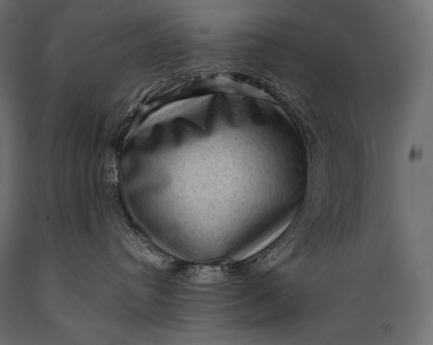 X0000088850384200706291501