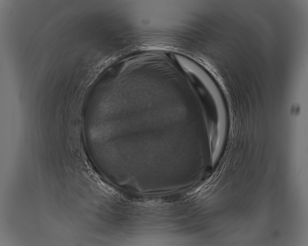 X0000088850385200706291500