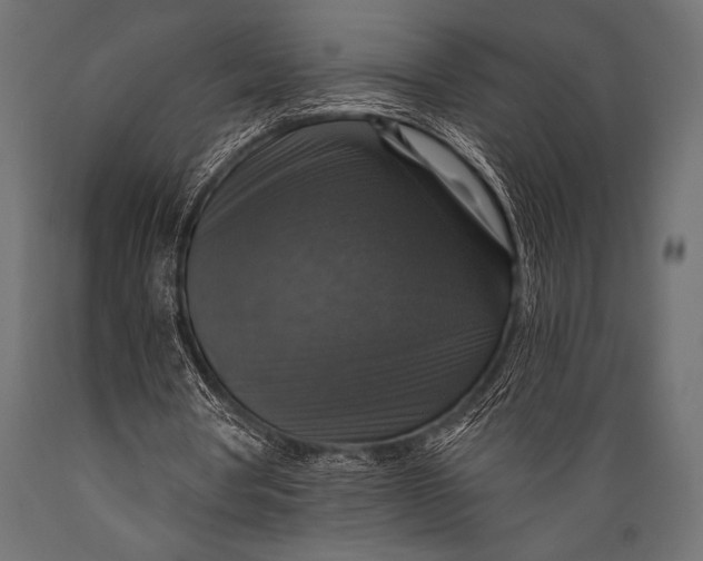 X0000088850386200706291500