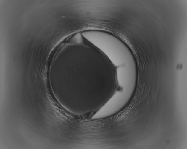 X0000088850387200706291500