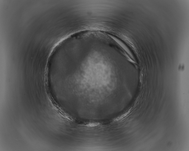 X0000088850388200706291500