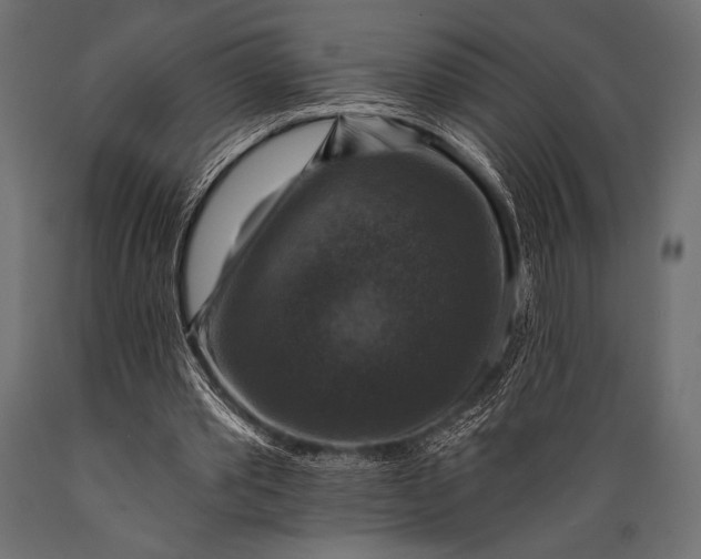 X0000088850389200706291500