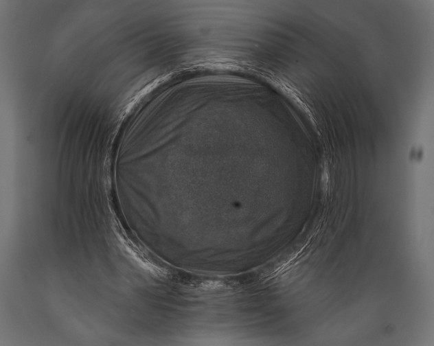 X0000088850390200706291500