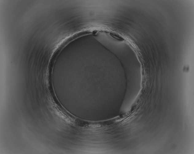 X0000088850391200706291500