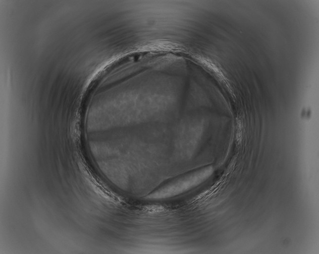 X0000088850392200706291500