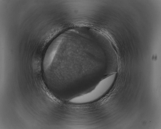 X0000088850393200706291500