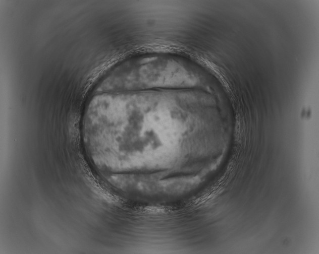 X0000088850394200706291500