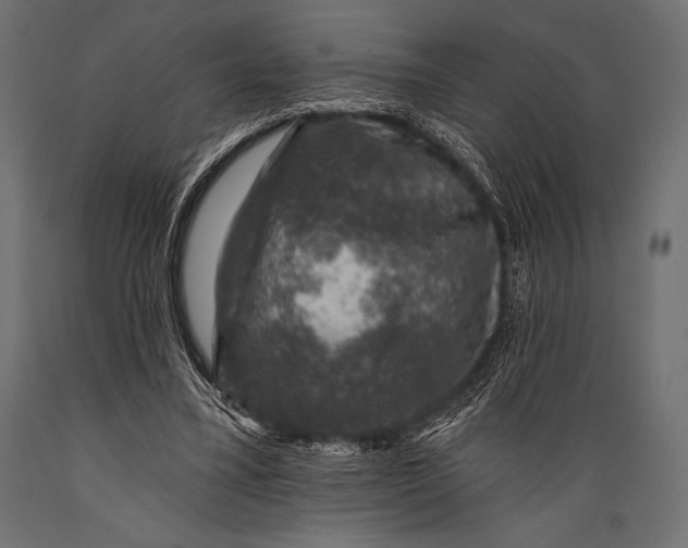 X0000088850395200706291500