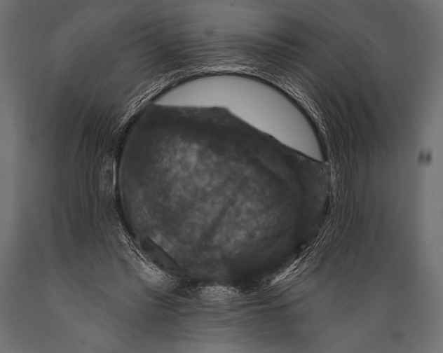 X0000088850397200706291500