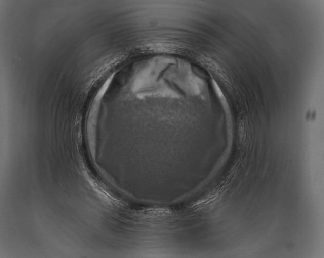 X0000088850398200706291500