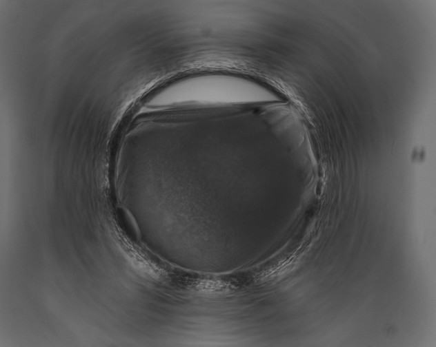 X0000088850399200706291500