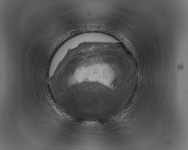 X0000088850401200706291500