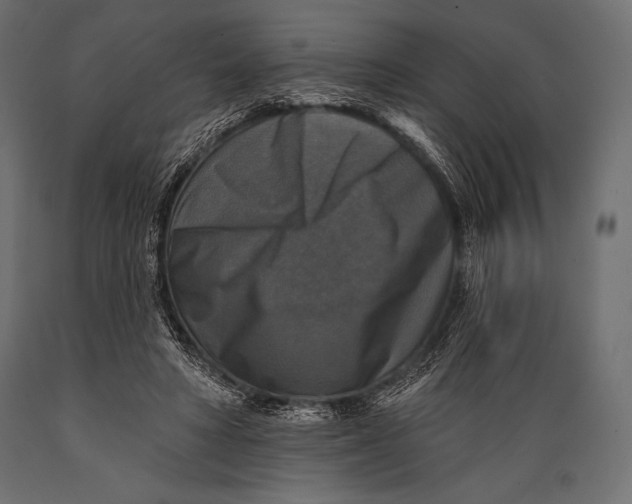 X0000088850402200706291500