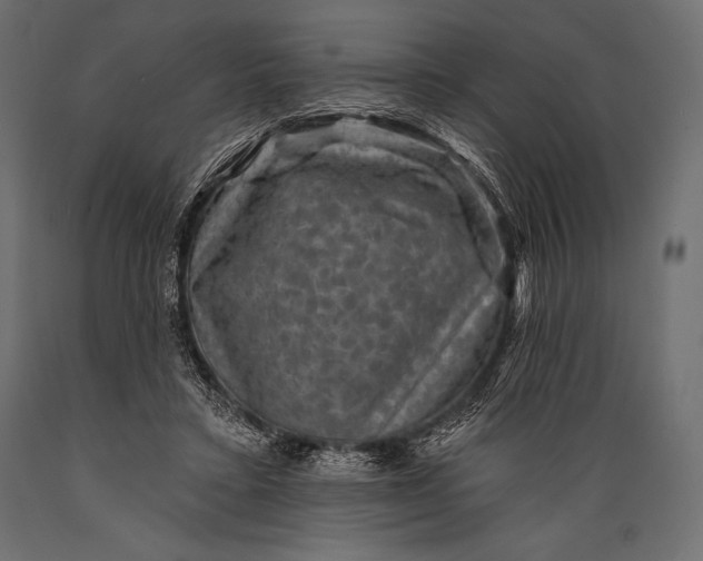 X0000088850403200706291500