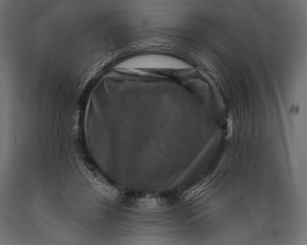 X0000088850404200706291500