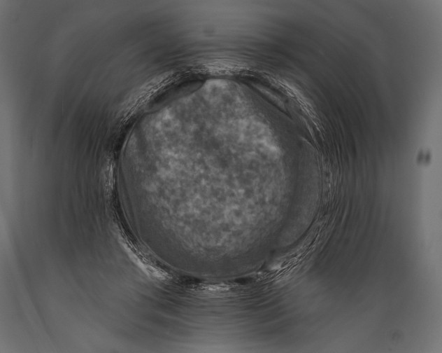 X0000088850405200706291500