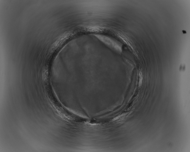 X0000088850407200706291500