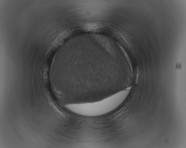 X0000088850408200706291500