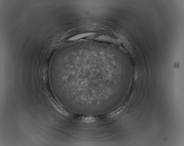 X0000088850409200706291500