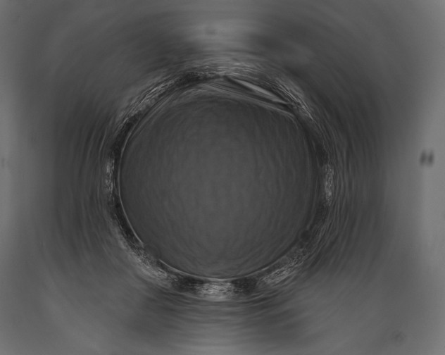 X0000088850410200706291500