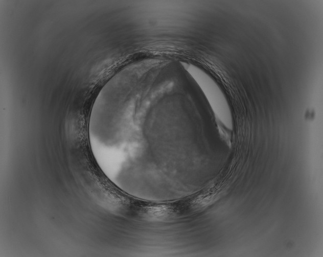 X0000088850411200706291500