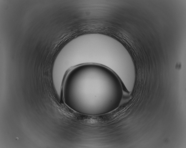 X0000088850412200706291500