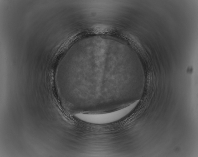 X0000088850413200706291500