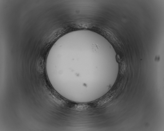 X0000088850414200706291500