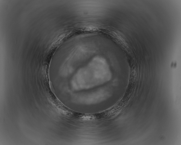 X0000088850415200706291500