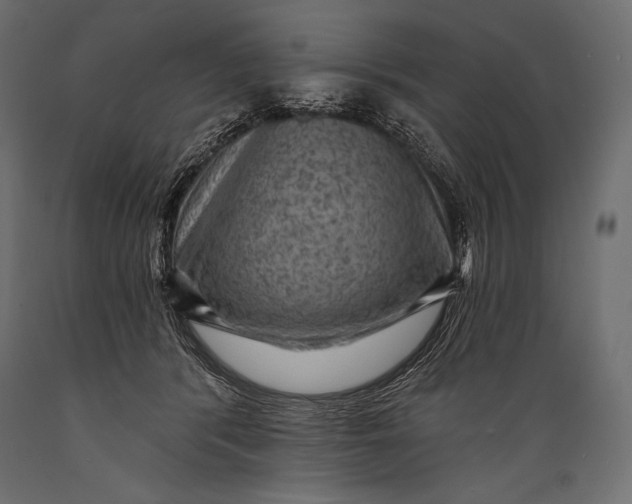 X0000088850416200706291500